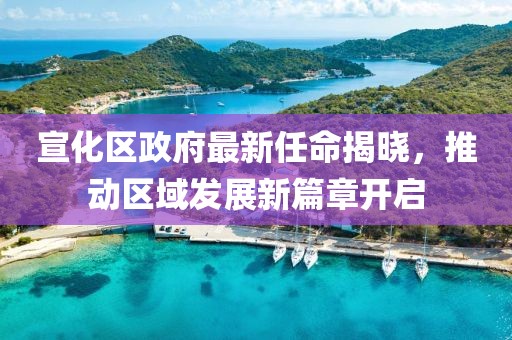 宣化區(qū)政府最新任命揭曉，推動區(qū)域發(fā)展新篇章開啟