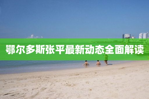 鄂爾多斯張平最新動態(tài)全面解讀