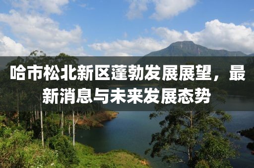 哈市松北新區(qū)蓬勃發(fā)展展望，最新消息與未來(lái)發(fā)展態(tài)勢(shì)