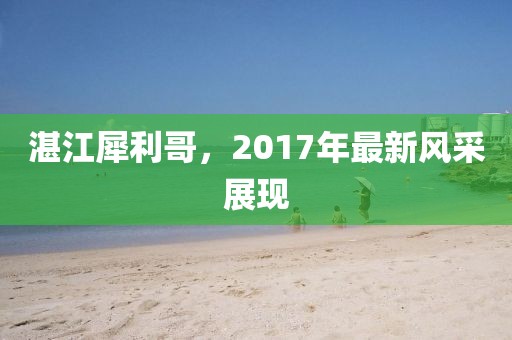 湛江犀利哥，2017年最新風(fēng)采展現(xiàn)