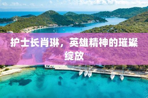 護士長肖琳，英雄精神的璀璨綻放