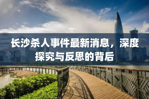 長沙殺人事件最新消息，深度探究與反思的背后