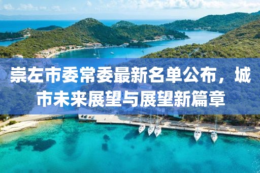 崇左市委常委最新名單公布，城市未來(lái)展望與展望新篇章