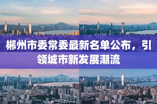 郴州市委常委最新名單公布，引領(lǐng)城市新發(fā)展潮流
