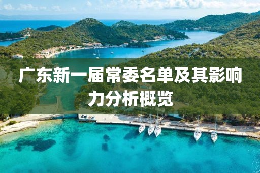 廣東新一屆常委名單及其影響力分析概覽