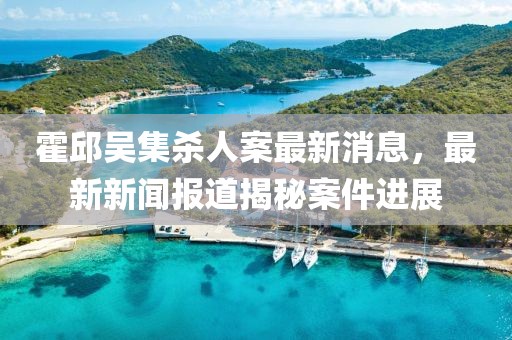霍邱吳集殺人案最新消息，最新新聞報道揭秘案件進(jìn)展