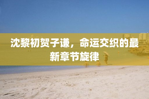 沈黎初賀子謙，命運(yùn)交織的最新章節(jié)旋律