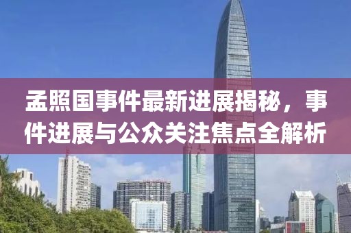 孟照國事件最新進(jìn)展揭秘，事件進(jìn)展與公眾關(guān)注焦點(diǎn)全解析