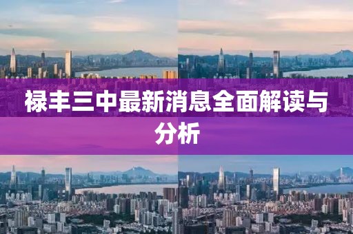 祿豐三中最新消息全面解讀與分析