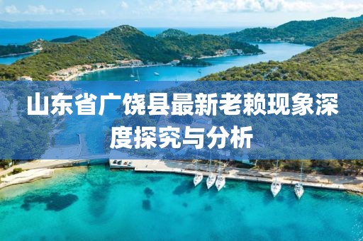 山東省廣饒縣最新老賴現(xiàn)象深度探究與分析