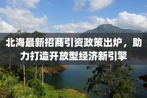 北海最新招商引資政策出爐，助力打造開放型經(jīng)濟(jì)新引擎
