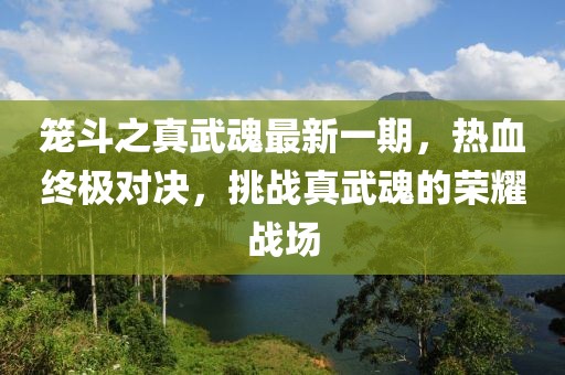 籠斗之真武魂最新一期，熱血終極對(duì)決，挑戰(zhàn)真武魂的榮耀戰(zhàn)場(chǎng)