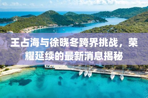 王占海與徐曉冬跨界挑戰(zhàn)，榮耀延續(xù)的最新消息揭秘