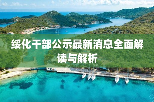 綏化干部公示最新消息全面解讀與解析