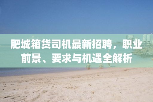 肥城箱貨司機(jī)最新招聘，職業(yè)前景、要求與機(jī)遇全解析