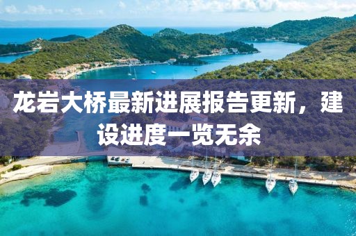 龍巖大橋最新進(jìn)展報(bào)告更新，建設(shè)進(jìn)度一覽無(wú)余