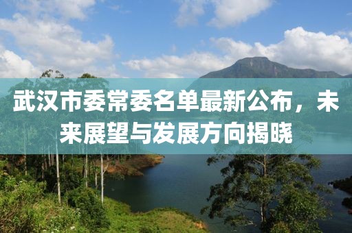 武漢市委常委名單最新公布，未來展望與發(fā)展方向揭曉