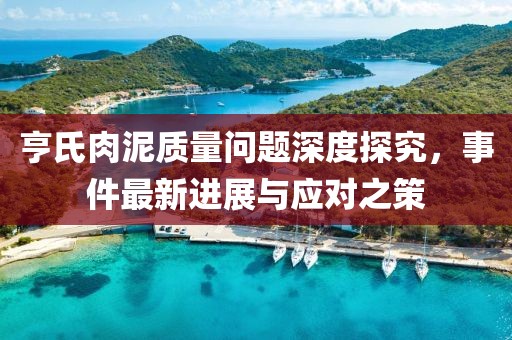 亨氏肉泥質(zhì)量問(wèn)題深度探究，事件最新進(jìn)展與應(yīng)對(duì)之策