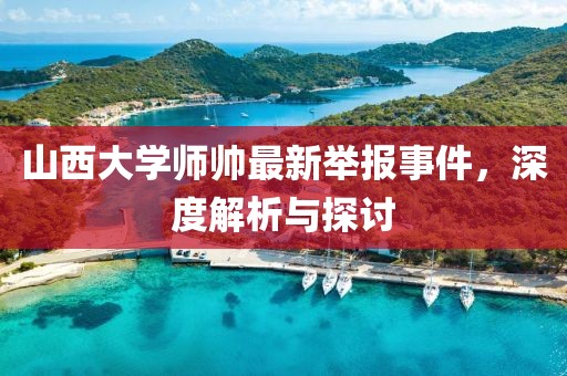 山西大學(xué)師帥最新舉報事件，深度解析與探討