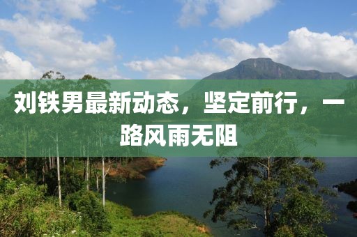 劉鐵男最新動態(tài)，堅定前行，一路風(fēng)雨無阻