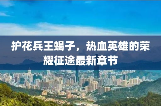 護(hù)花兵王蝎子，熱血英雄的榮耀征途最新章節(jié)