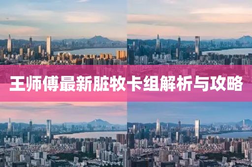 王師傅最新臟牧卡組解析與攻略