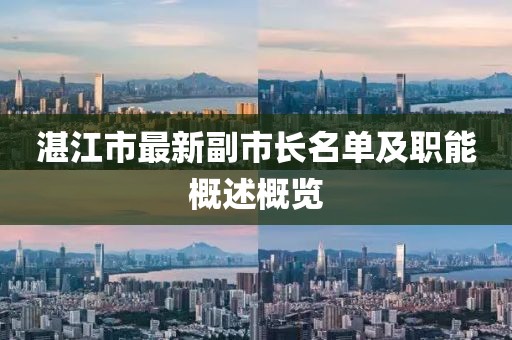湛江市最新副市長(zhǎng)名單及職能概述概覽