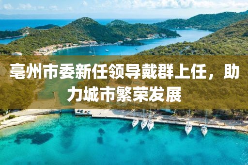 亳州市委新任領(lǐng)導(dǎo)戴群上任，助力城市繁榮發(fā)展