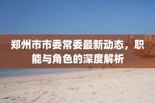 鄭州市市委常委最新動(dòng)態(tài)，職能與角色的深度解析