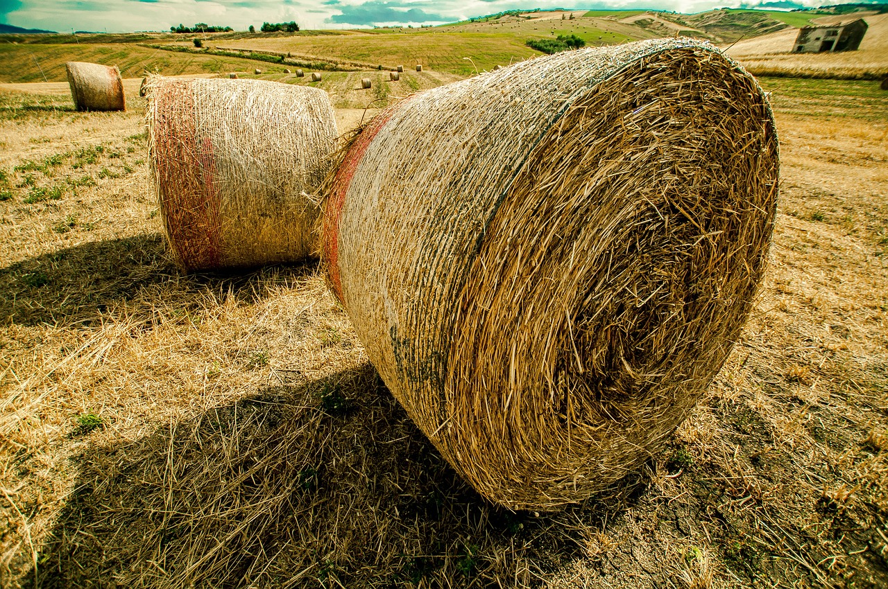 開(kāi)心的時(shí)刻 第27頁(yè)