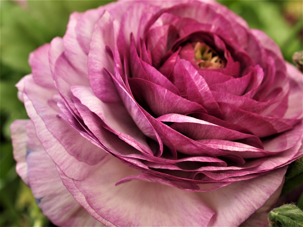 東和環(huán)保引領綠色發(fā)展，先鋒力量展現(xiàn)最新環(huán)保動態(tài)