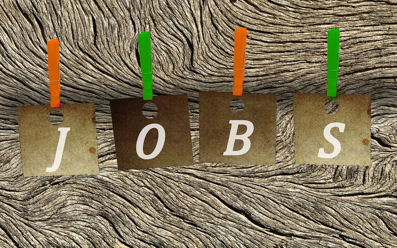 東海開發(fā)區(qū)最新招聘動(dòng)態(tài)，人才吸引力探討與招聘進(jìn)展速遞