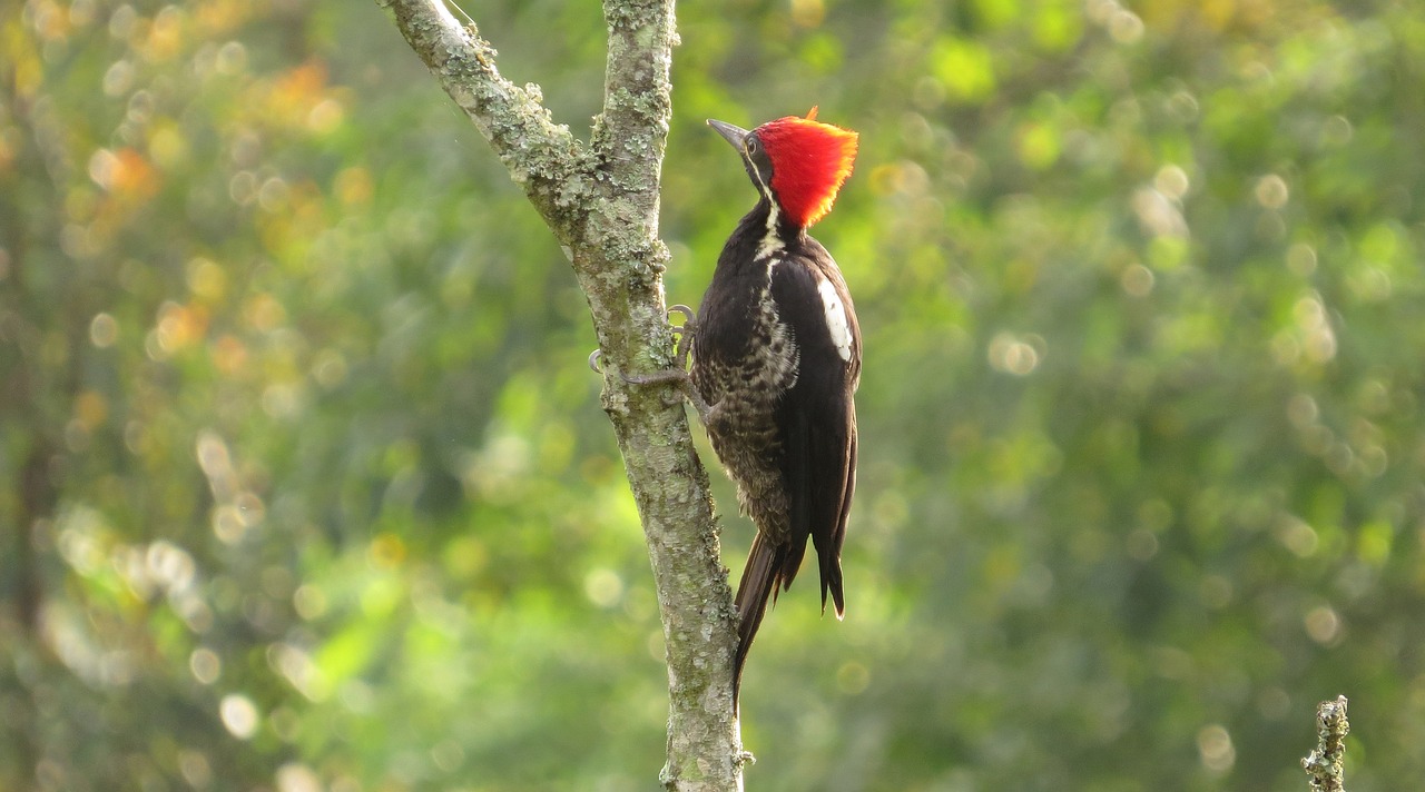 眉間倦意 第26頁