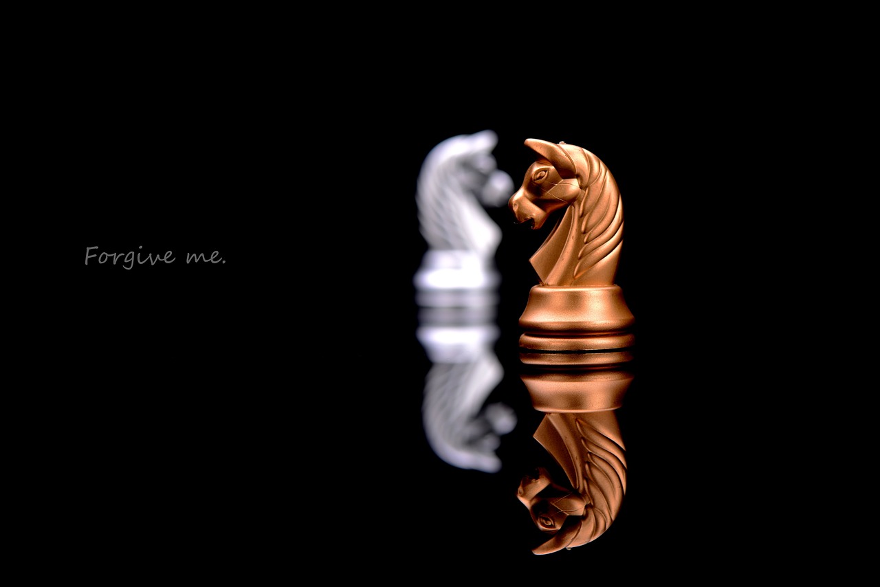 舟山沉船事件最新動態(tài)，全面解析事件進(jìn)展與后續(xù)關(guān)注