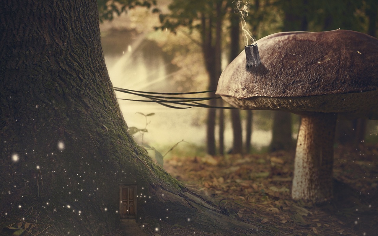 高考最新消息更新，最新動(dòng)態(tài)與變化解讀