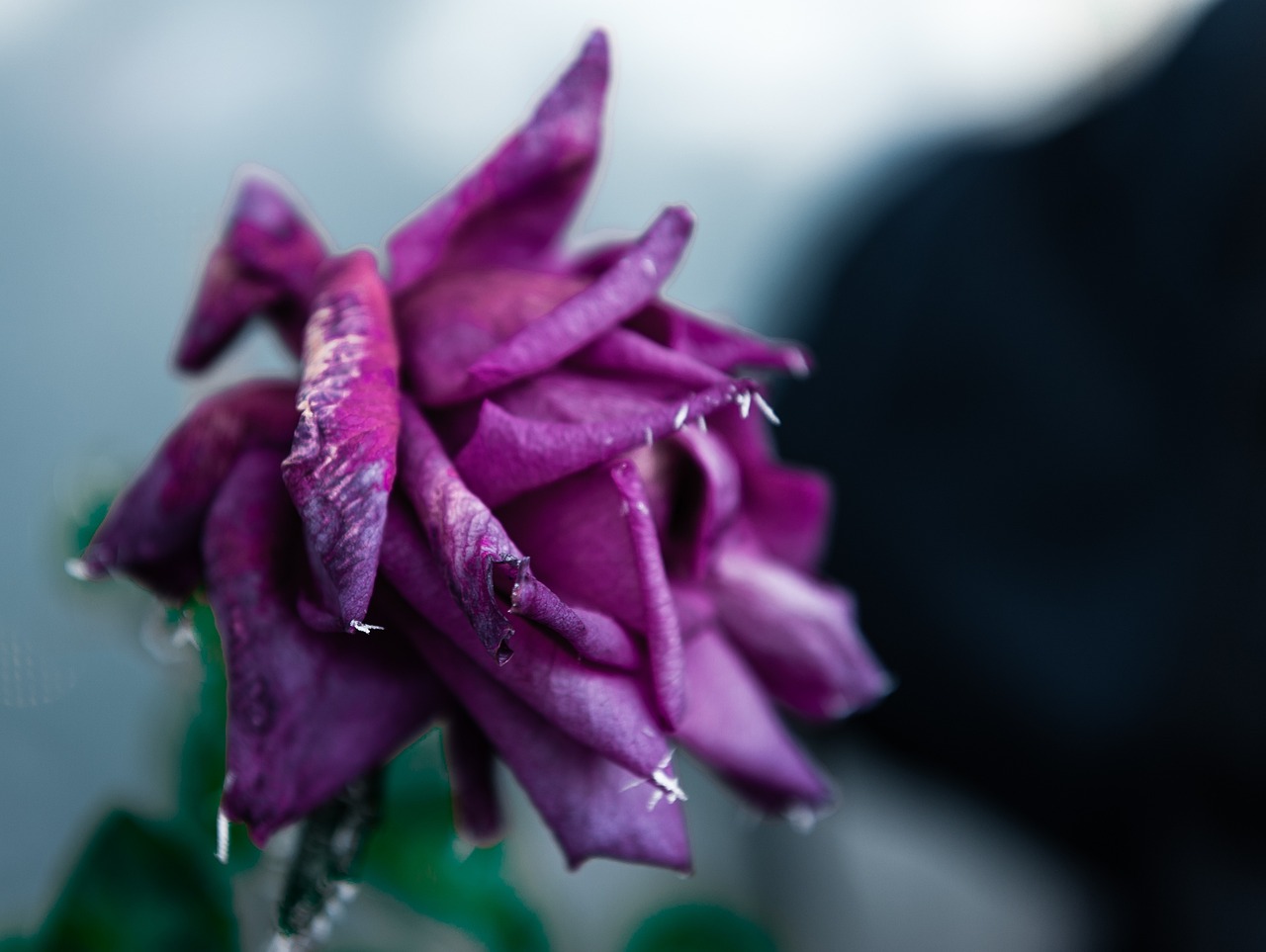 天津老年卡最新動態(tài)，關(guān)愛老年人，打造便捷生活