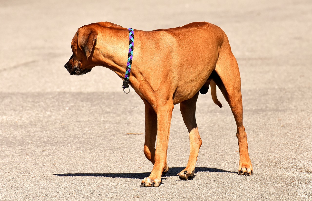 產(chǎn)品中心 第603頁