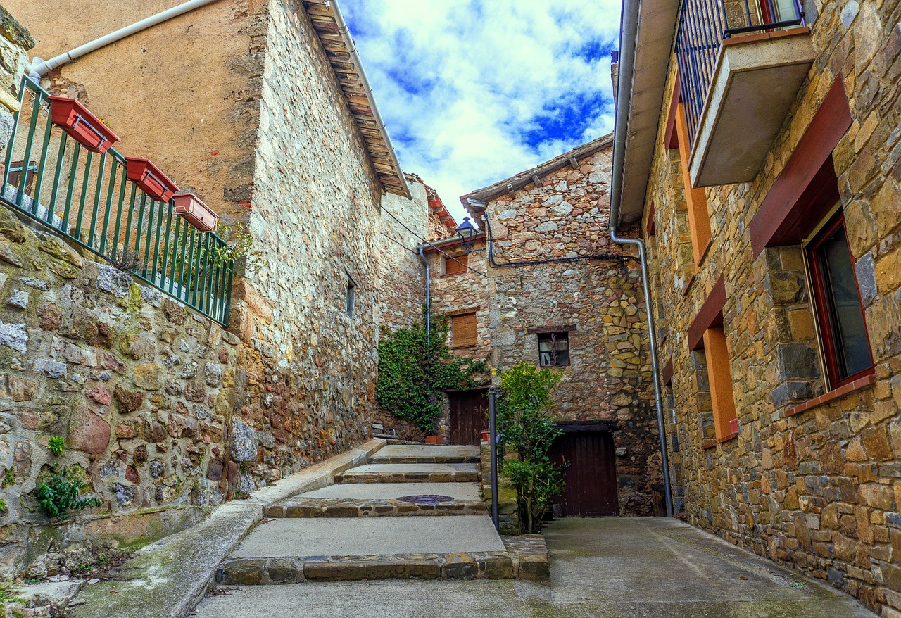 馮某針案最新進展深度探究，最新動態(tài)與情況更新（1.21版）