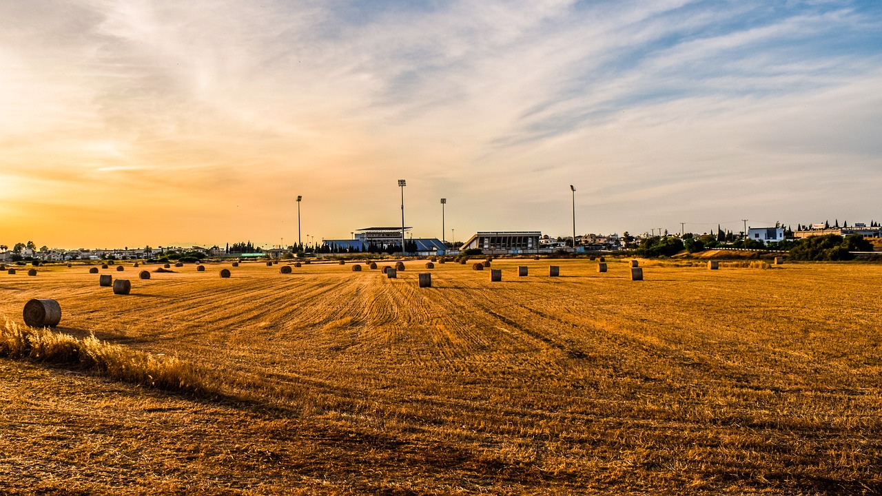 地稅機(jī)構(gòu)改革最新動(dòng)態(tài)，深化稅務(wù)改革，優(yōu)化服務(wù)以提升效率