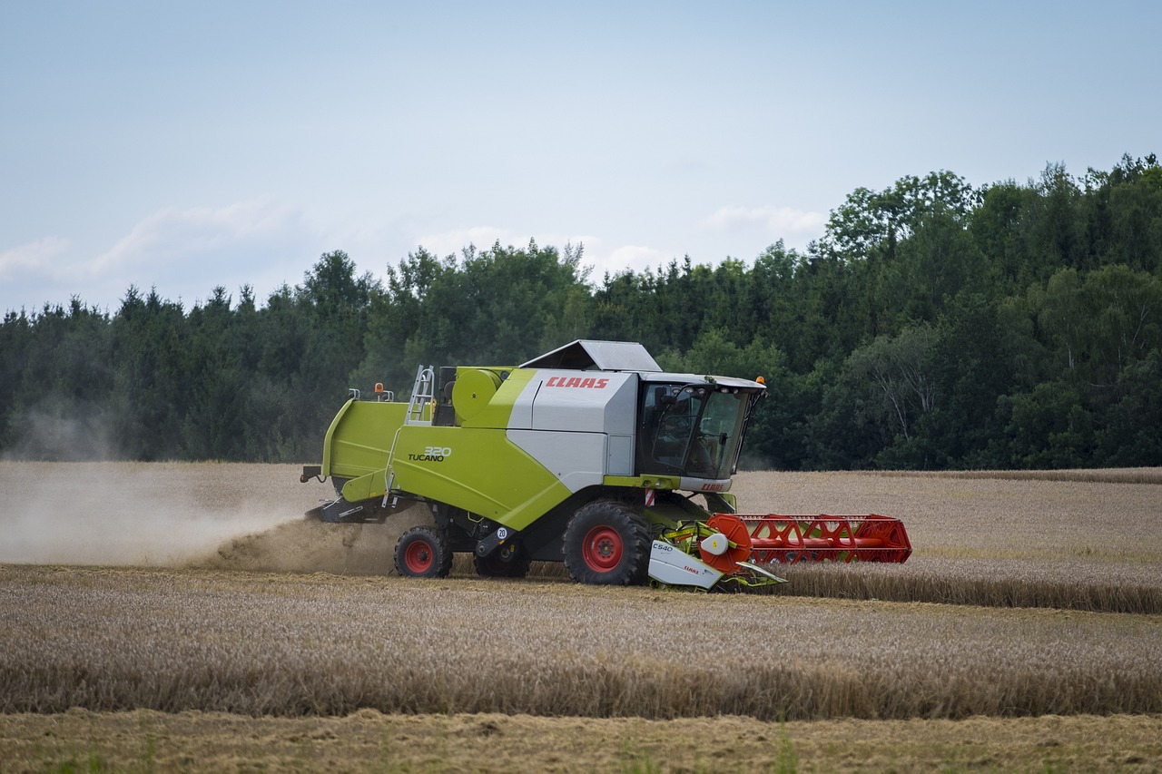 晚秋 第20頁(yè)