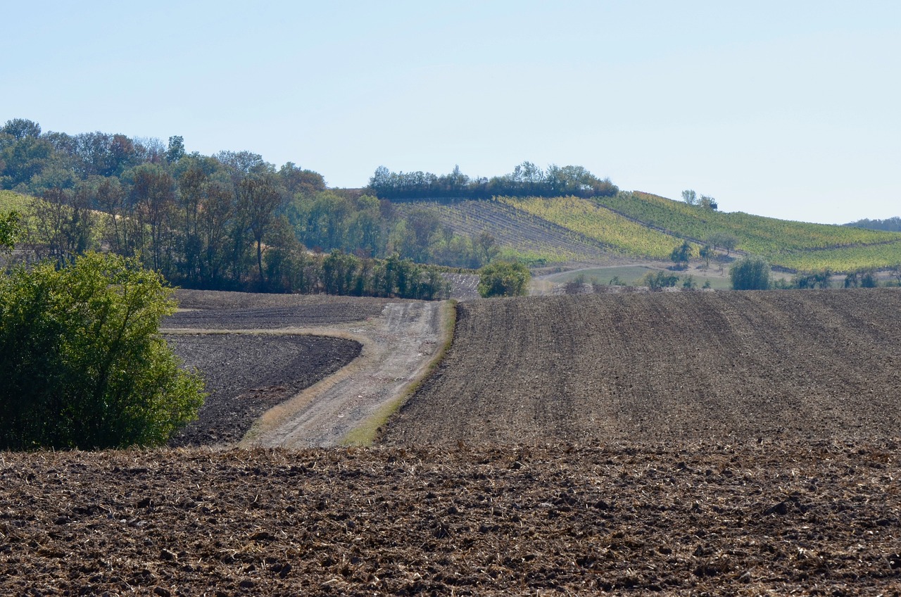 小藍(lán)工業(yè)園最新招聘動(dòng)態(tài)，崗位空缺與產(chǎn)業(yè)影響力分析