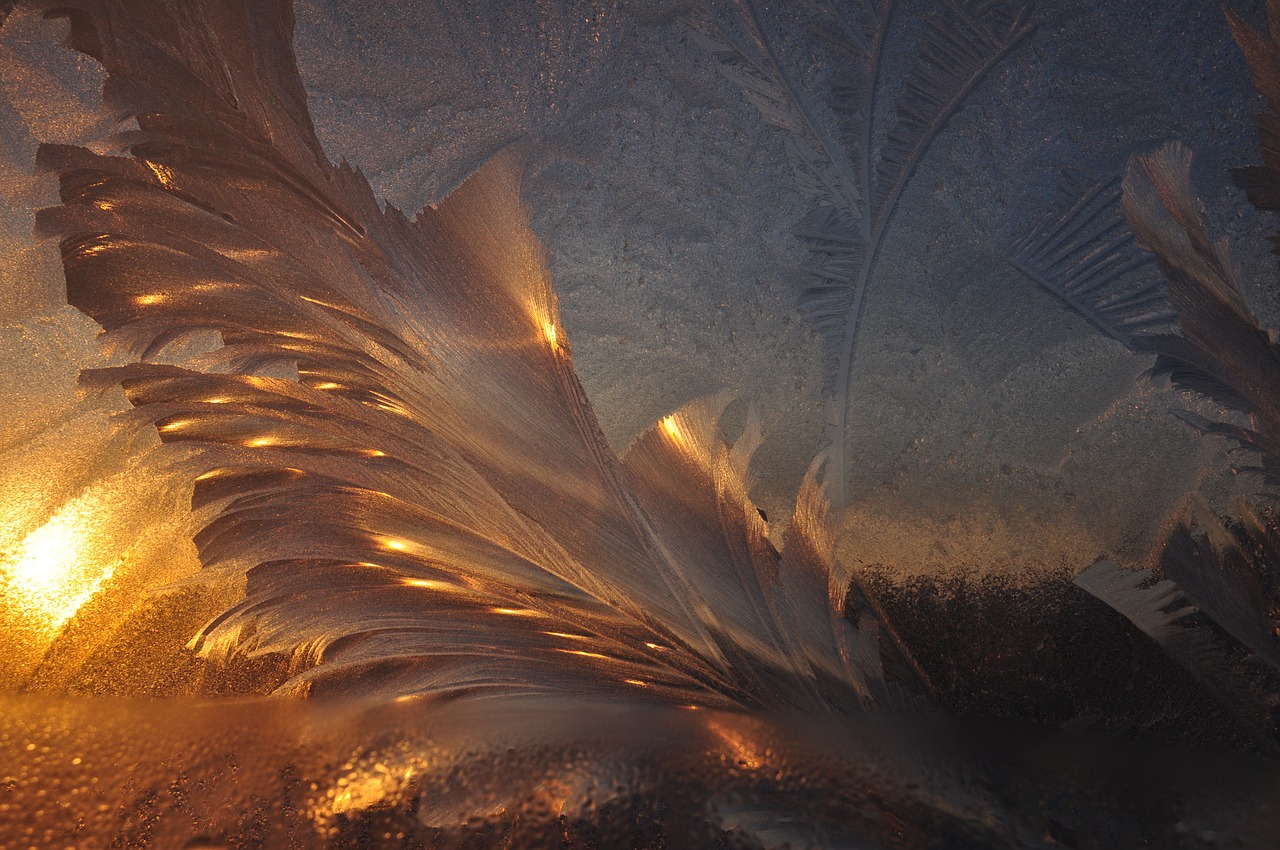 白夜寒與葉曉曉，命運交織與情感升華的最新章節(jié)