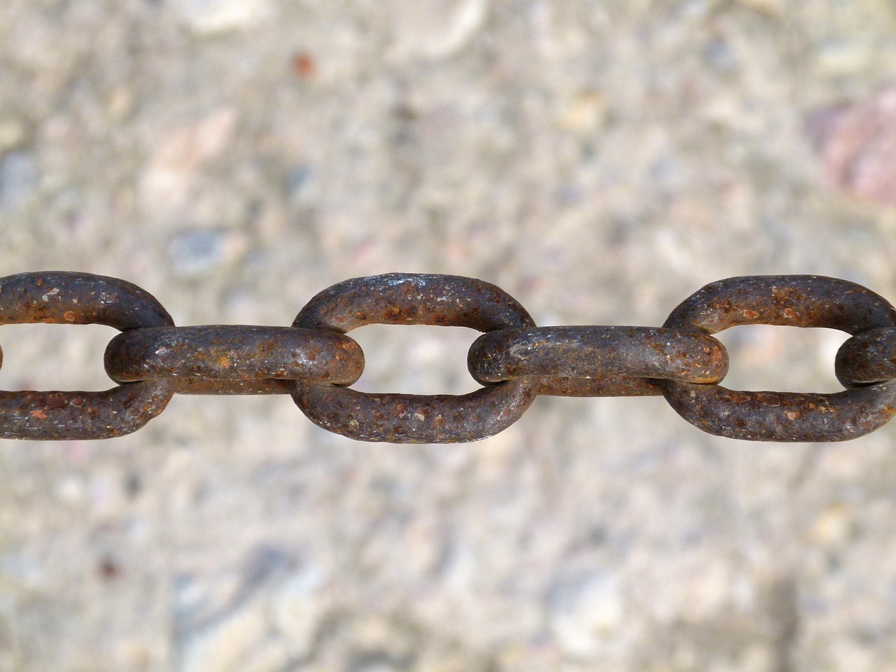 李仕軍在旺蒼的最新動態(tài)，推動地方發(fā)展，展現(xiàn)新面貌