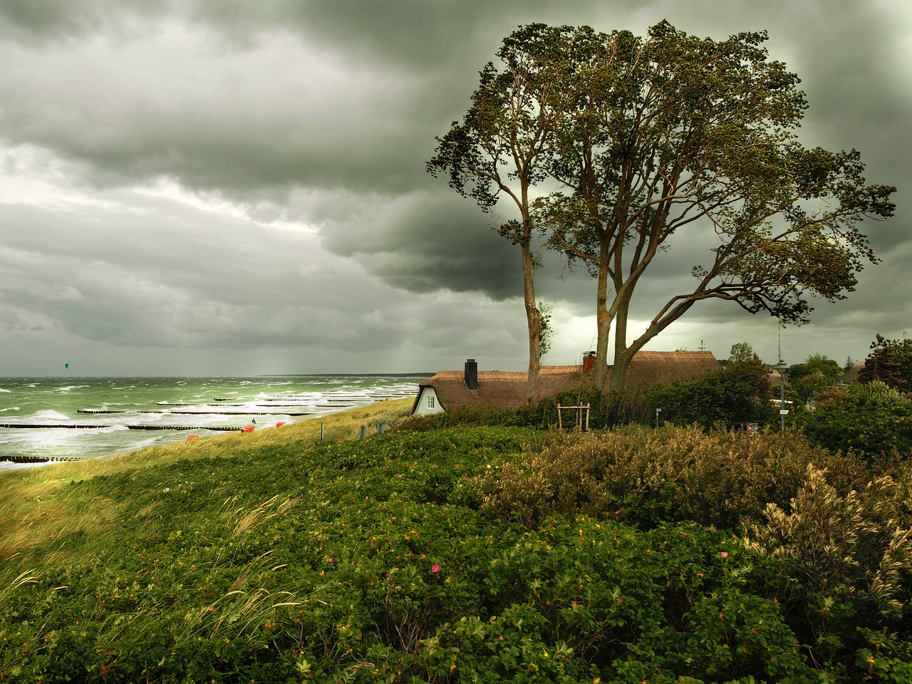 山東海洋天氣預(yù)報(bào)更新及分析，最新海洋氣象動(dòng)態(tài)揭秘