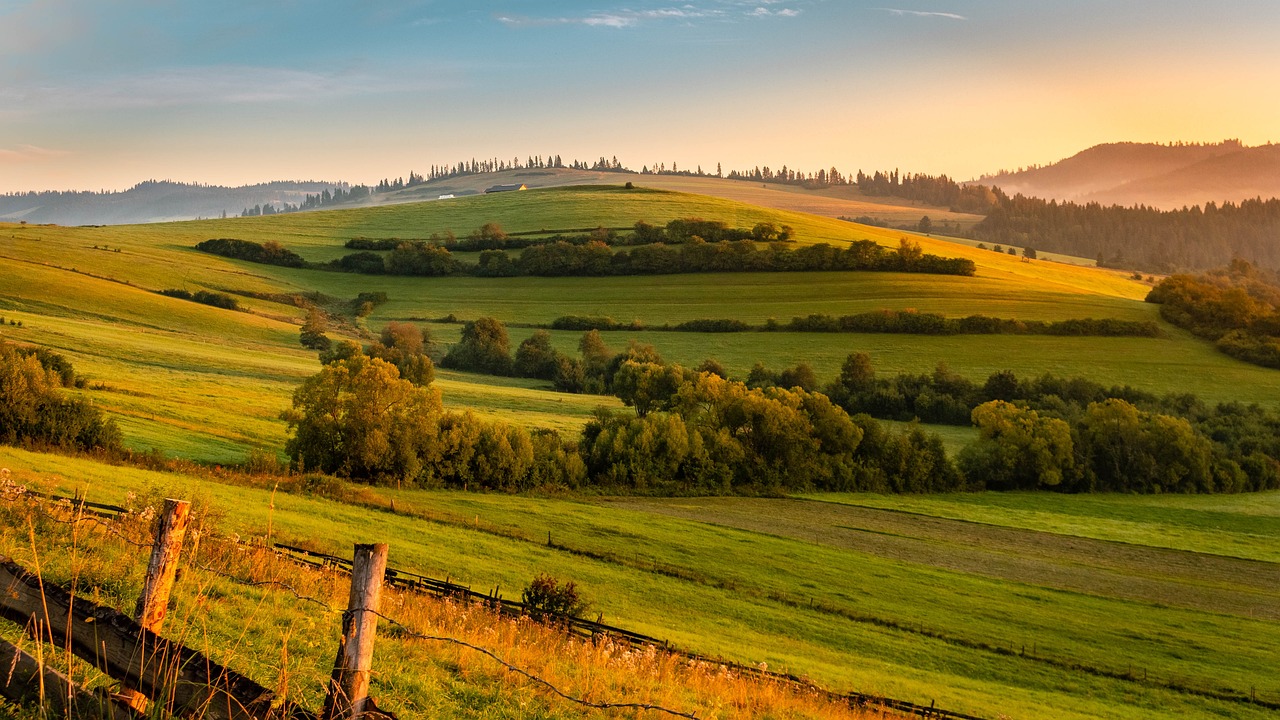 保定青竹園最新進展，城市綠色發(fā)展典范工程進展順利
