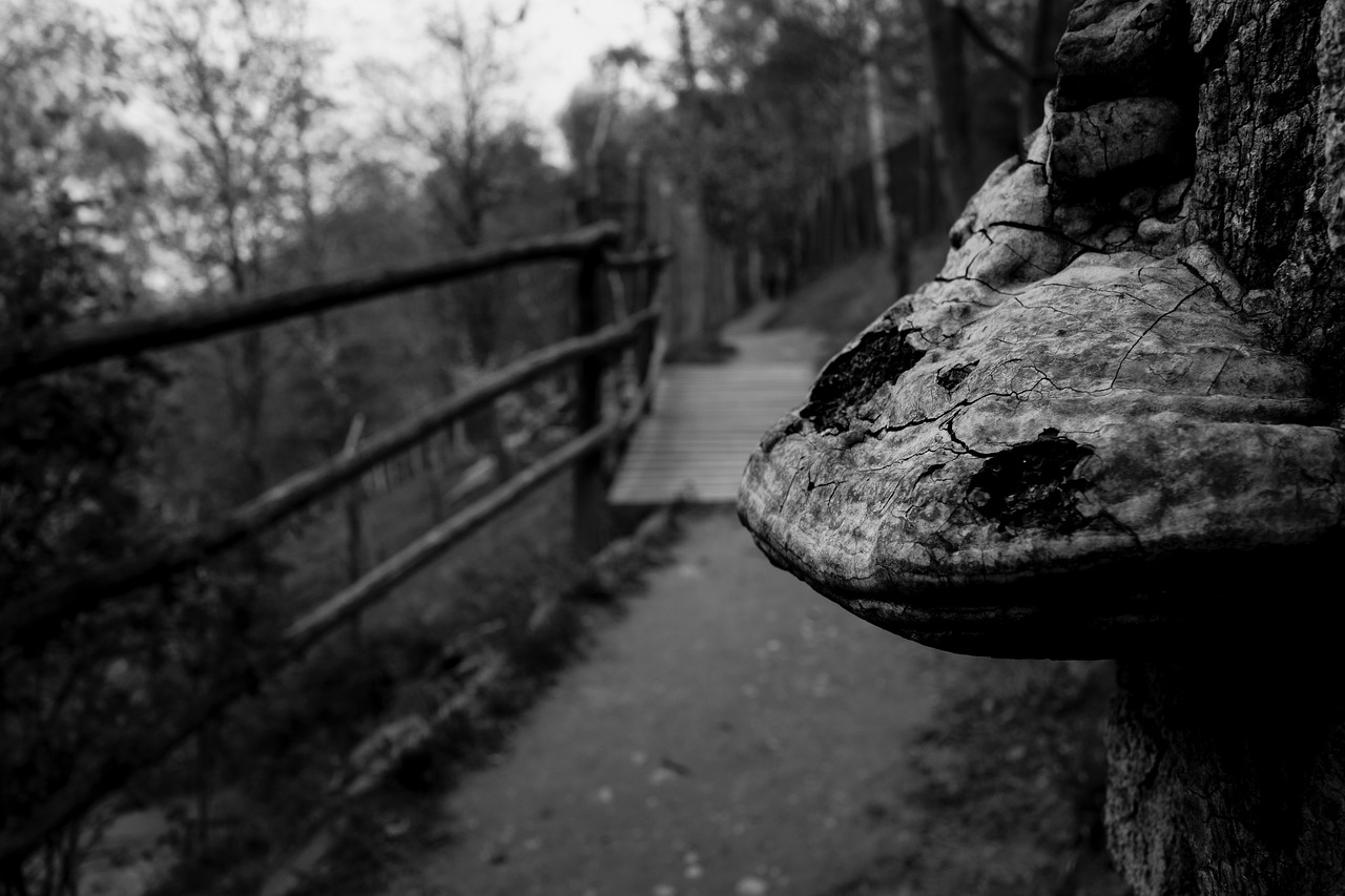 九江瞰江郡最新動態(tài)更新，九江瞰江郡最新狀況速遞