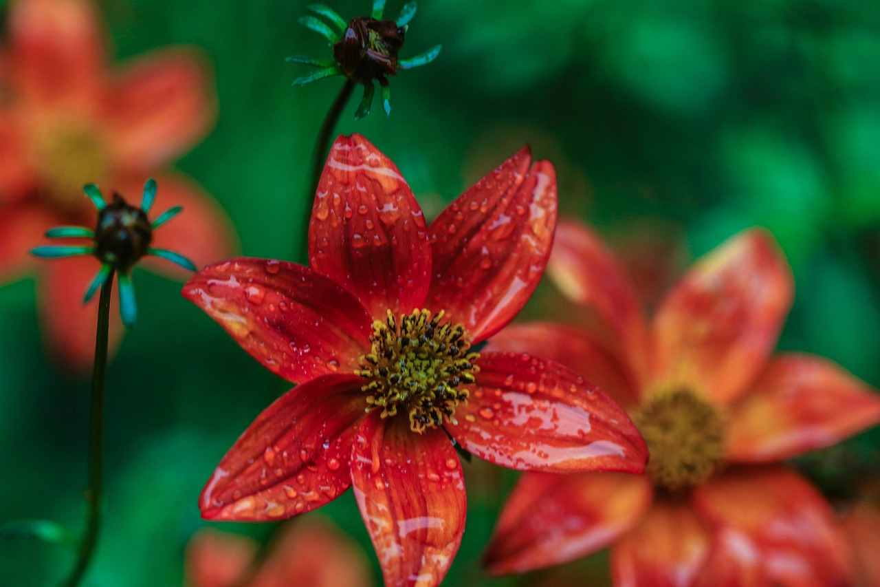 懷來萬悅廣場，城市新地標(biāo)，引領(lǐng)未來生活風(fēng)尚新動態(tài)