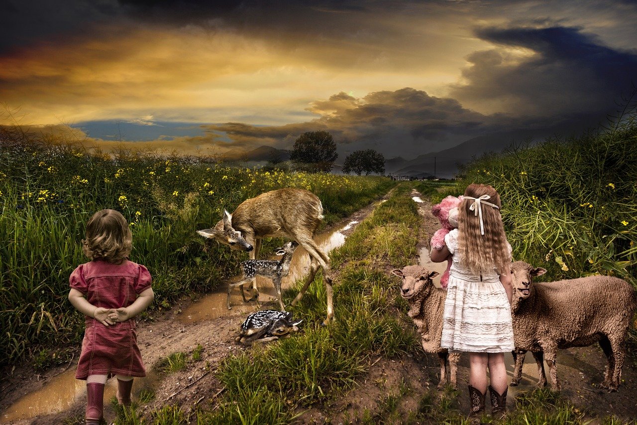 逍遙派最新章節(jié)，奇幻之旅探尋神秘世界