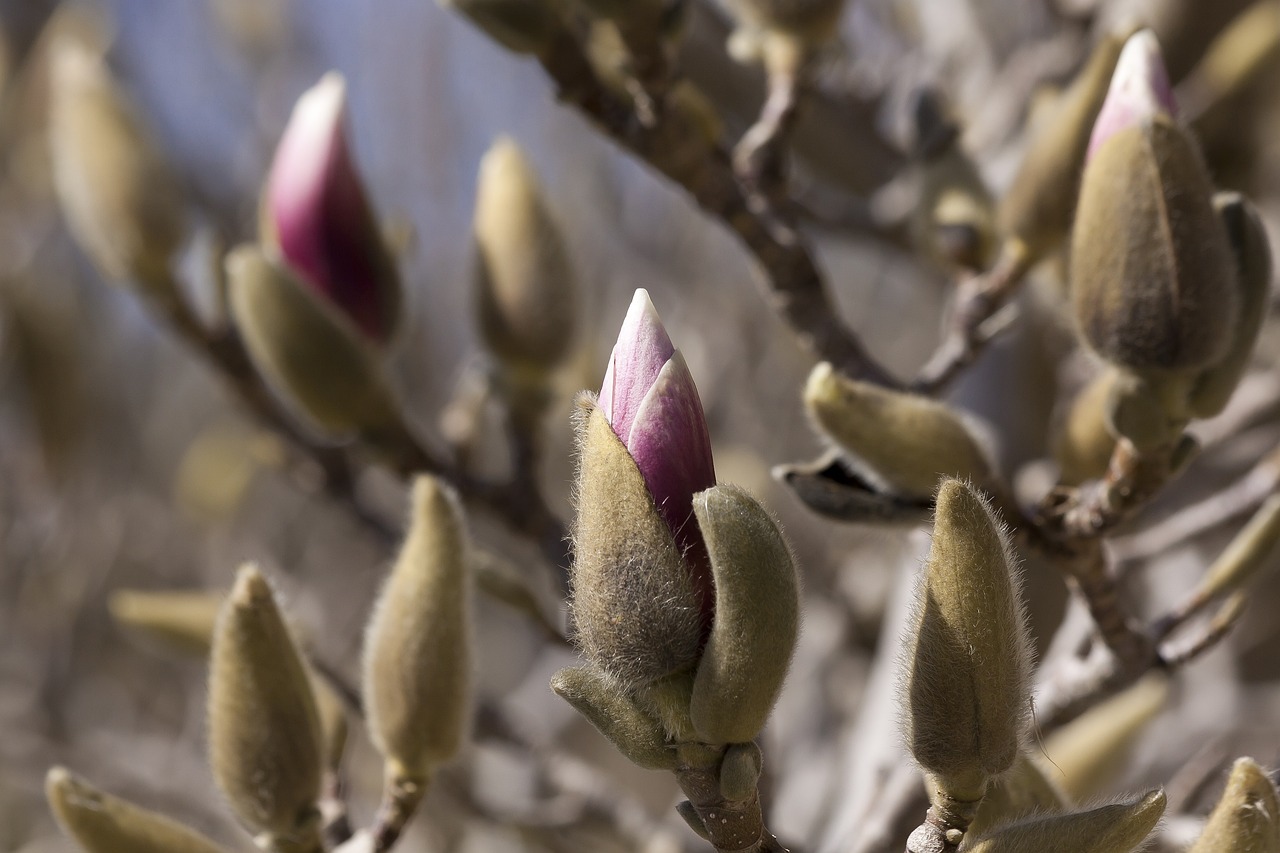 泗陽高鐵最新進(jìn)展報(bào)告更新，最新動(dòng)態(tài)揭秘！