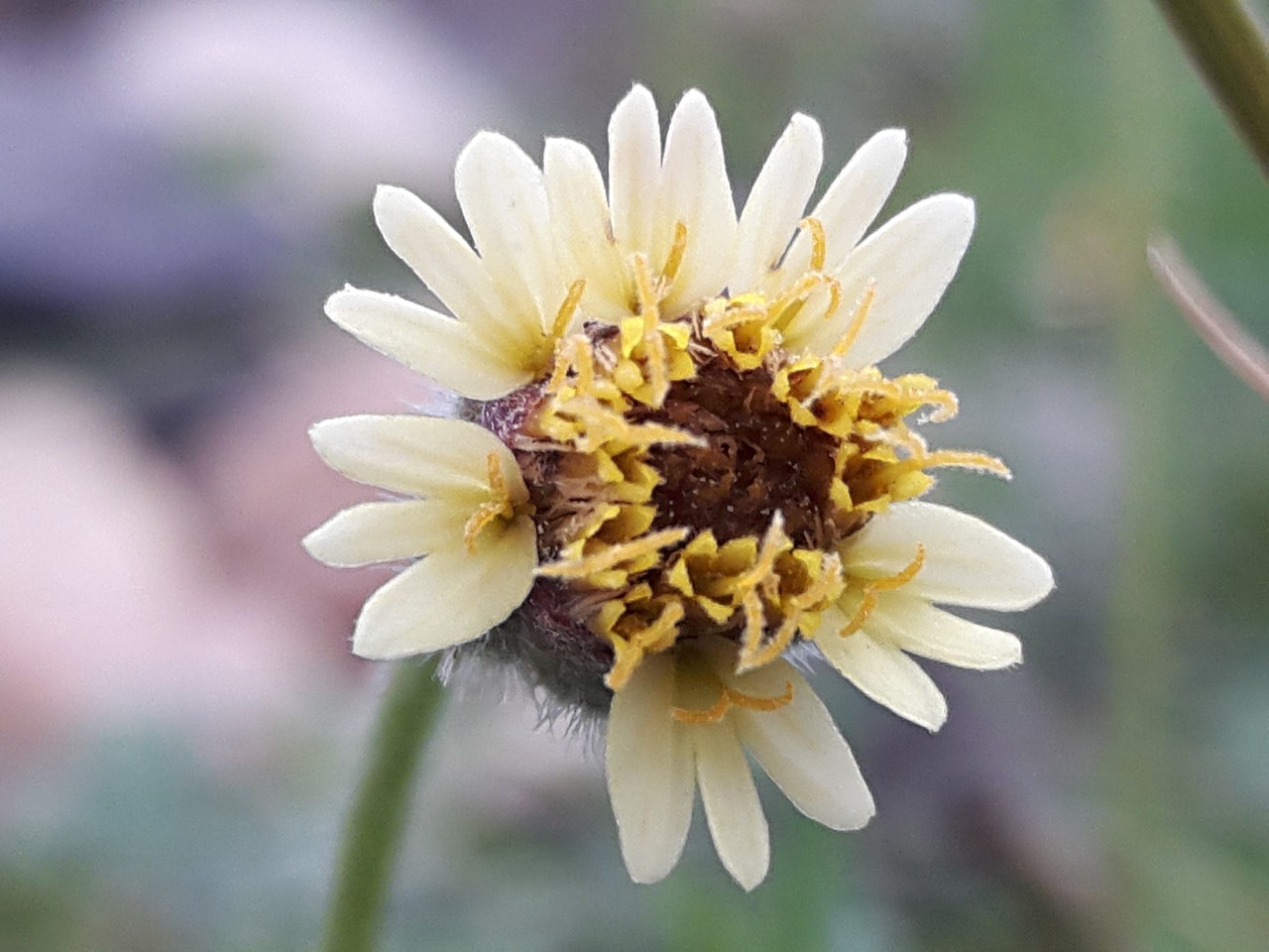 烏市地鐵招工最新動態(tài)，城市軌道交通建設(shè)中的機遇與挑戰(zhàn)并存